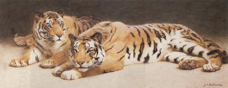 John Charles Dollman Two Wild Tigers China oil painting art